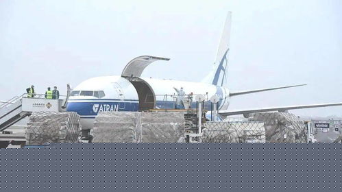 品质生活，触手可及——日用品正式开通